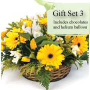 Gift Set 3 - Florist Choice Basket, Balloon &amp; Chocolates