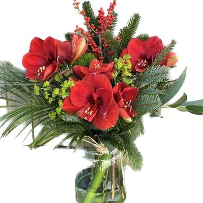 Red Amarylis Bouquet