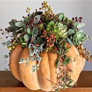 Pumpkin Flower Pot 30th October 2025