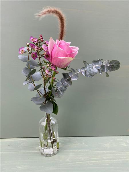 Single pink rose hotsell